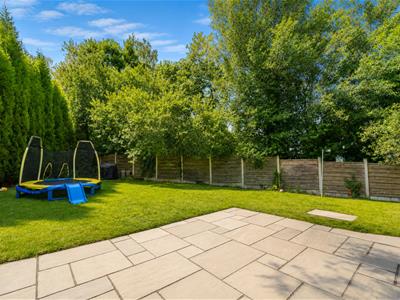 Picture 23